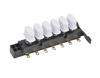 琴键开关-BQ04-6G