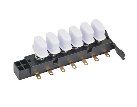 琴键开关-BQ04-6G